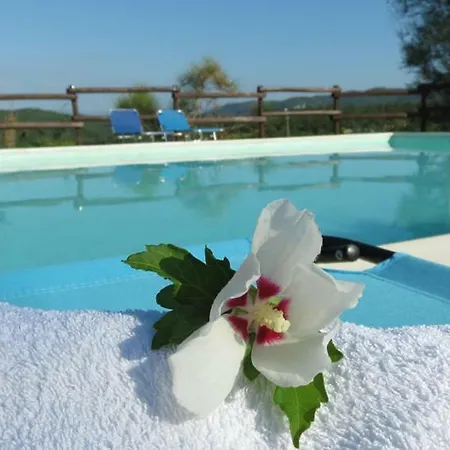 Apartment Agriturismo La Cristalla Santa Restituta